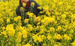 日产精品一线二线三线京东